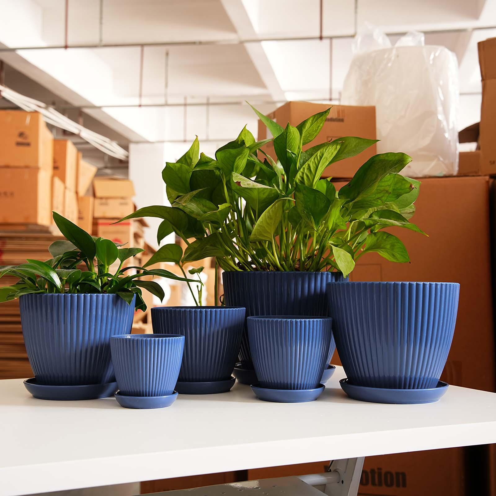 Snake Plant Ceramic - Vertical Striped Plant Pot Thickened Plastic