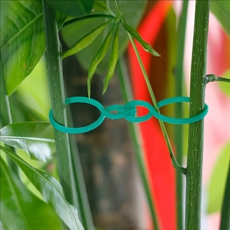 125Pcs Garden Plant Support Ki - đánh giá và giá Plant Parent Kit