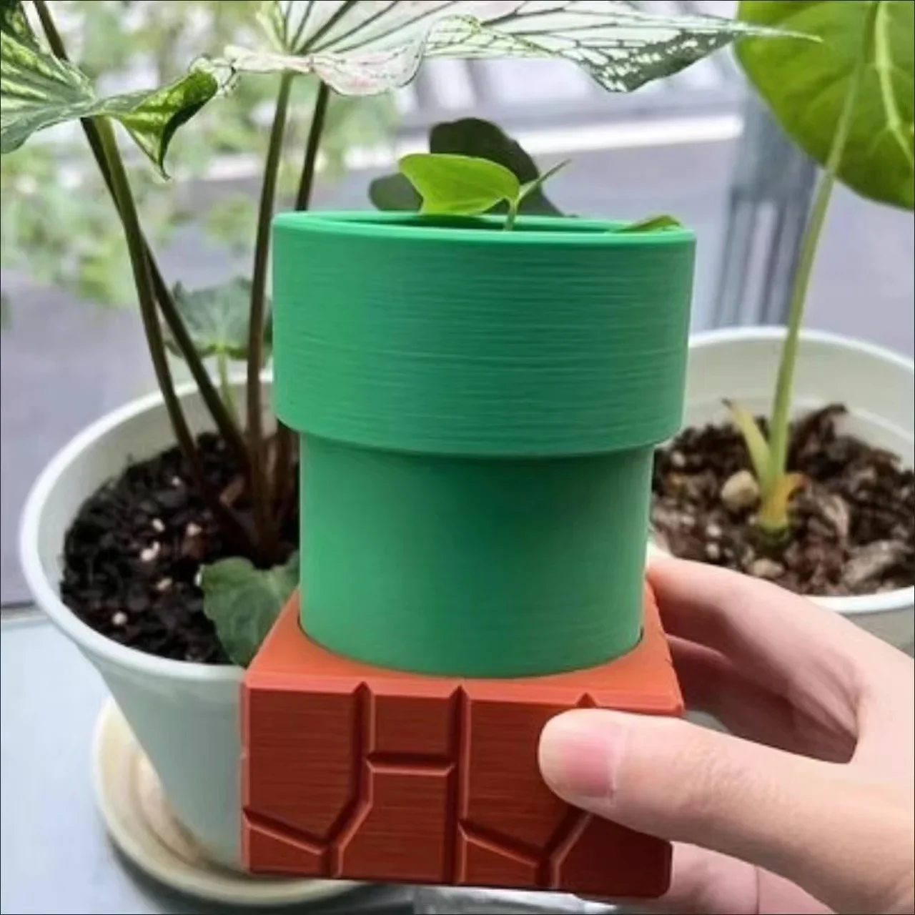 Water Pipe Cannibal Flower Pot - đánh giá và giá Snake Plant Ceramic