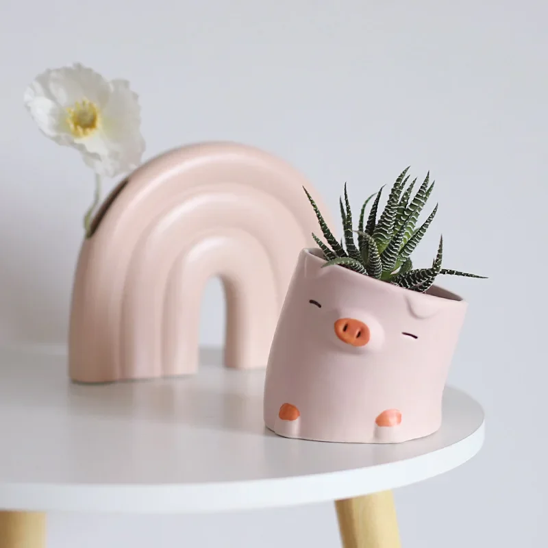 Cartoon Animals Succulent Plan - đánh giá và giá Snake Plant Ceramic