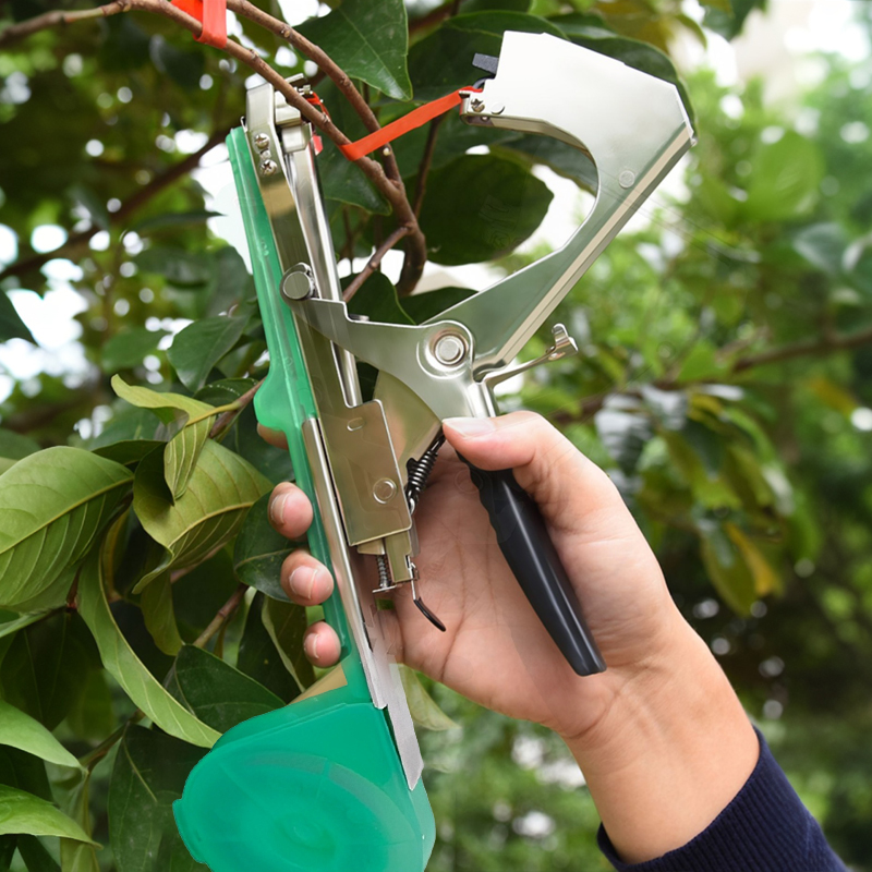 Garden Plants Branch Hand Tyin - đánh giá và giá Plant Parent Kit