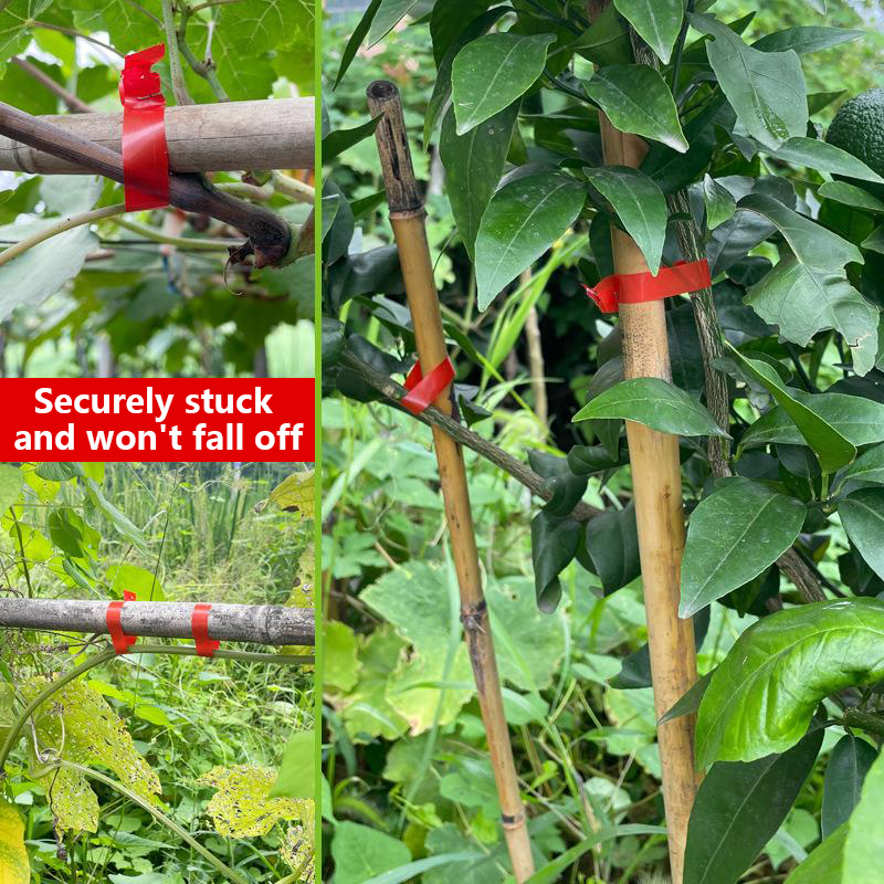 Garden Plants Branch Hand Tyin - đánh giá và giá Plant Parent Kit