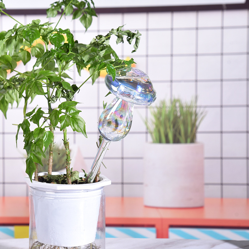 1/2PCS Glass Straw Automatic P - đánh giá và giá Plant Parent Kit