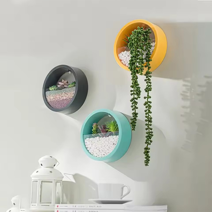 Round Wall Mount Planter Pot 3 - đánh giá và giá Snake Plant Ceramic