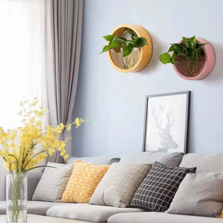 Round Wall Mount Planter Pot 3 - đánh giá và giá Snake Plant Ceramic