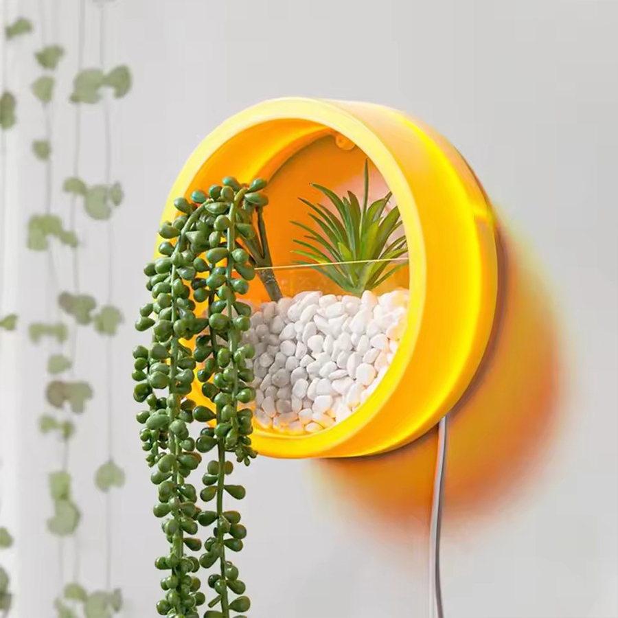 Round Wall Mount Planter Pot 3 - đánh giá và giá Snake Plant Ceramic