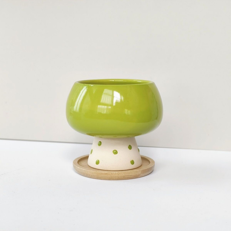 Stylish Minimalist Ceramic Flo - đánh giá và giá Snake Plant Ceramic