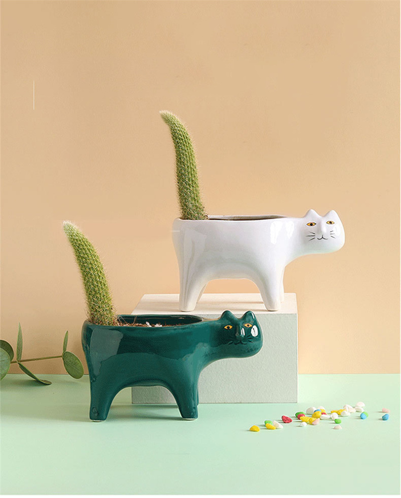 Cute Cat Ceramic Garden Flower - đánh giá và giá Snake Plant Ceramic