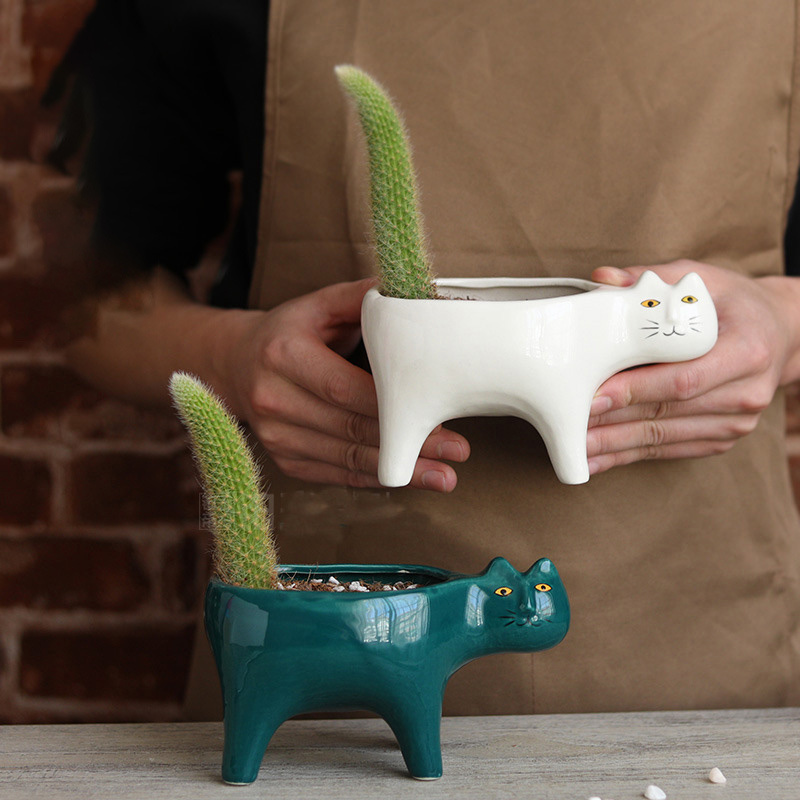 Cute Cat Ceramic Garden Flower - đánh giá và giá Snake Plant Ceramic