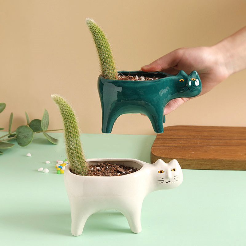 Cute Cat Ceramic Garden Flower - đánh giá và giá Snake Plant Ceramic