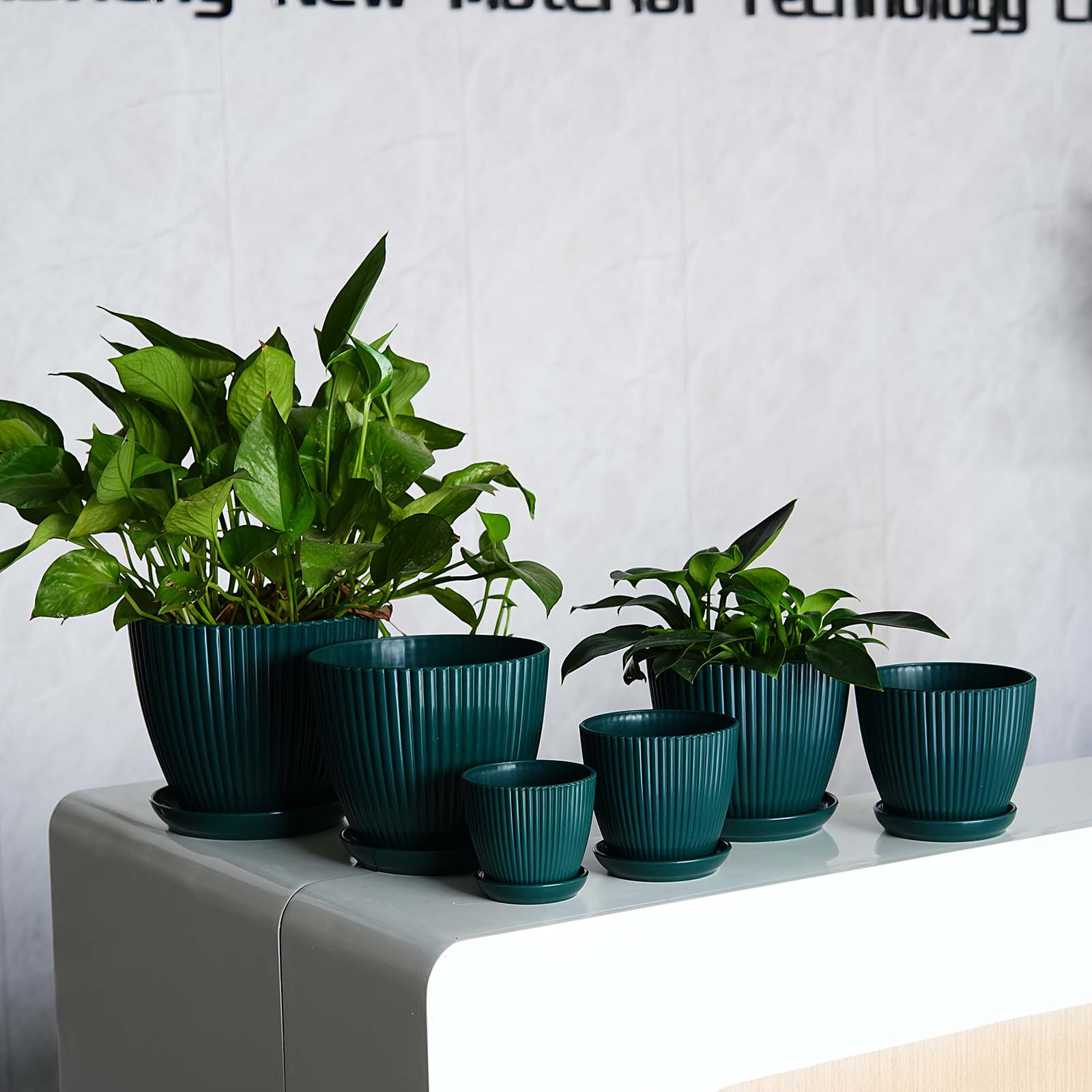 Vertical Striped Plant Pot Thi - đánh giá và giá Snake Plant Ceramic