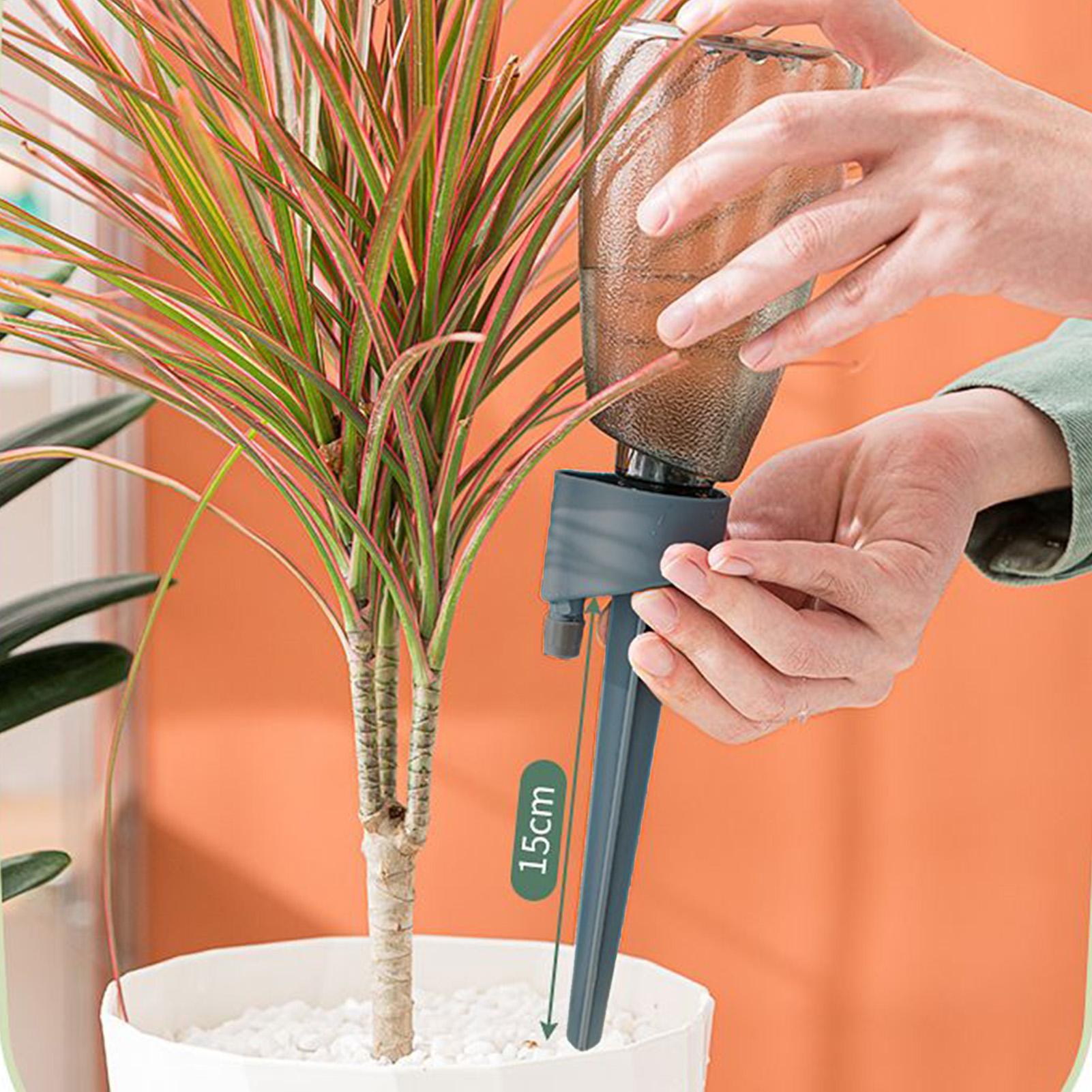 6pcs Automatic Waterer Househo - đánh giá và giá Plant Parent Kit