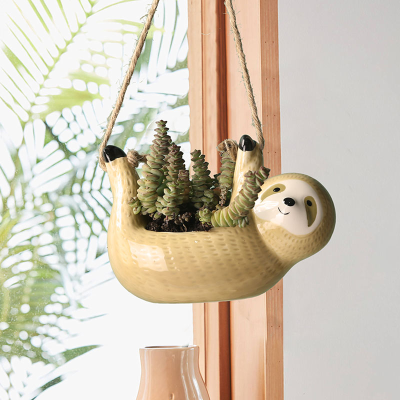 1Pcs Ceramic Hanging Plant Pot - đánh giá và giá Snake Plant Ceramic