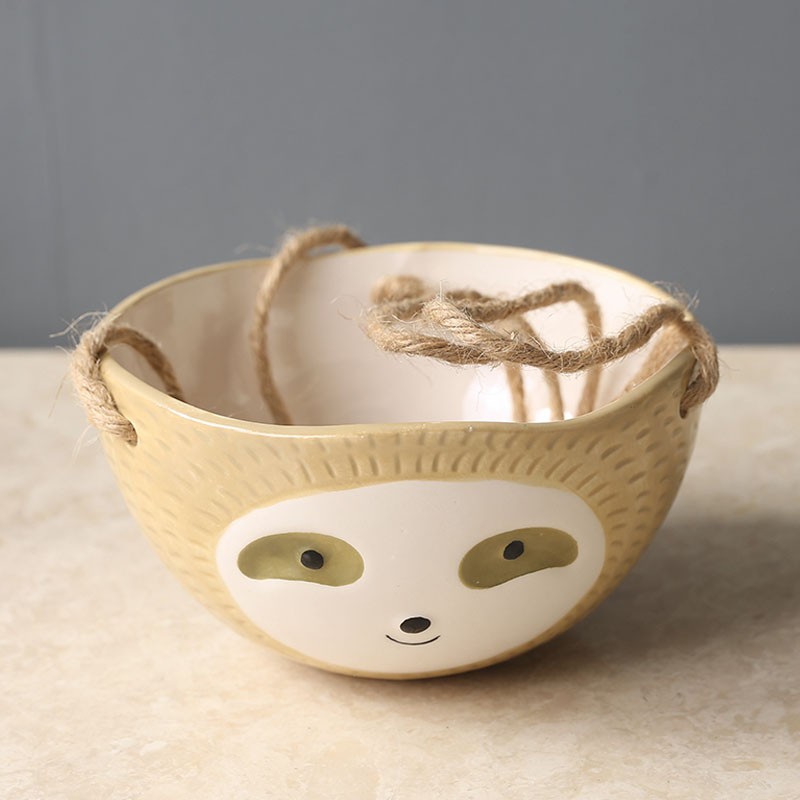 1Pcs Ceramic Hanging Plant Pot - đánh giá và giá Snake Plant Ceramic