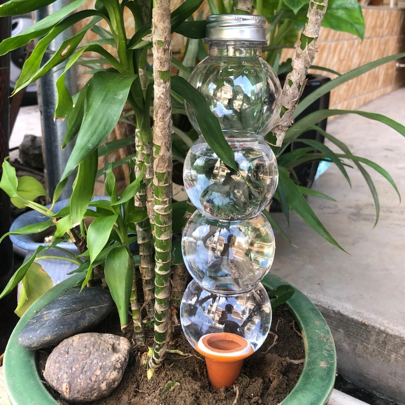 1/3/5Pcs Creative Automatic Wa - đánh giá và giá Plant Parent Kit