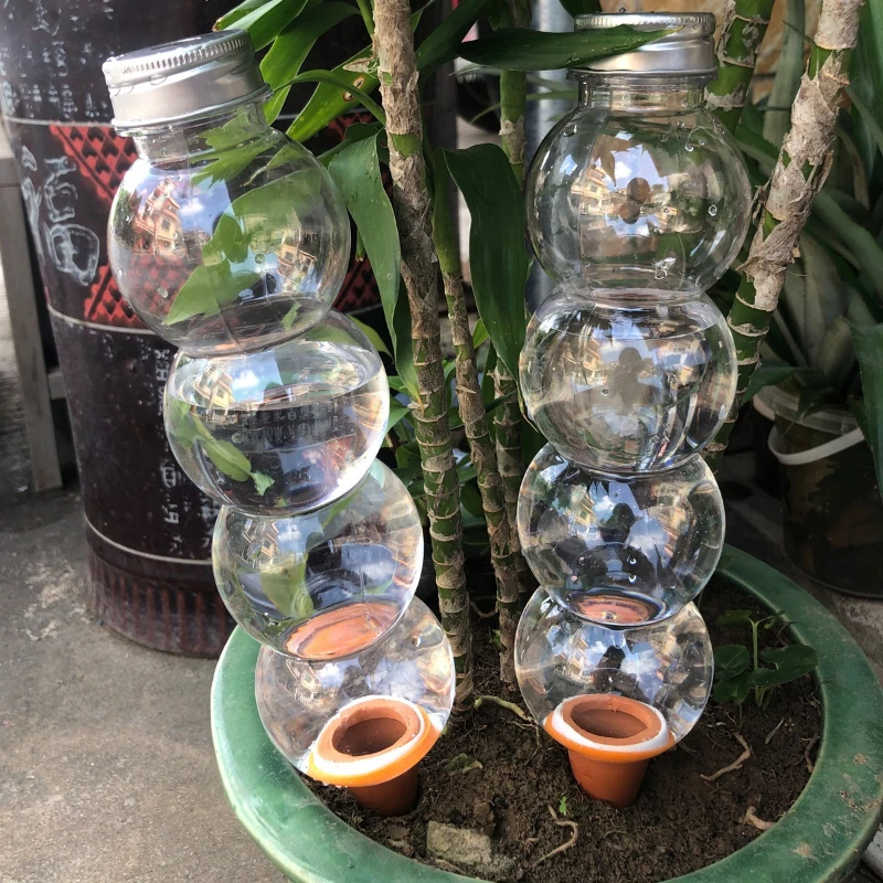 1/3/5Pcs Creative Automatic Wa - đánh giá và giá Plant Parent Kit