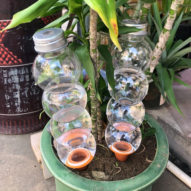 1/3/5Pcs Creative Automatic Wa - đánh giá và giá Plant Parent Kit